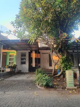 Dijual Rumah Siap Huni Graha Padma Semarang
