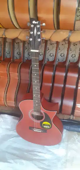 GITAR AAKUSTIK CORT