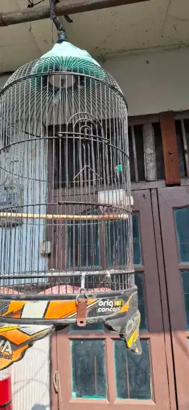 Sangkar burung besi