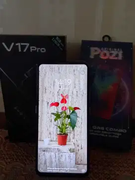 Vivo v17pro 8/128