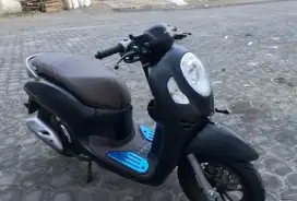 NEW HONDA SCOOPY PRESTIGE 2024 GRESS LOW KM