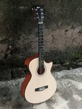 Gitar akustik elektrik Yamaha