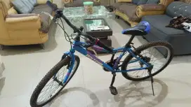 Sepeda MTB Polygon Cyclon 100 uk 24