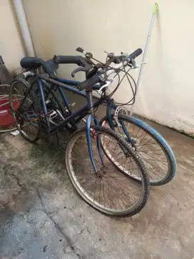 Sepeda Olahraga 2 Unit