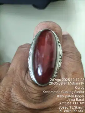 D maharin ajah batu pandan merah sisik betik gosokan lindung