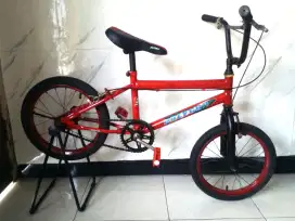 Sepeda anak polygon asli