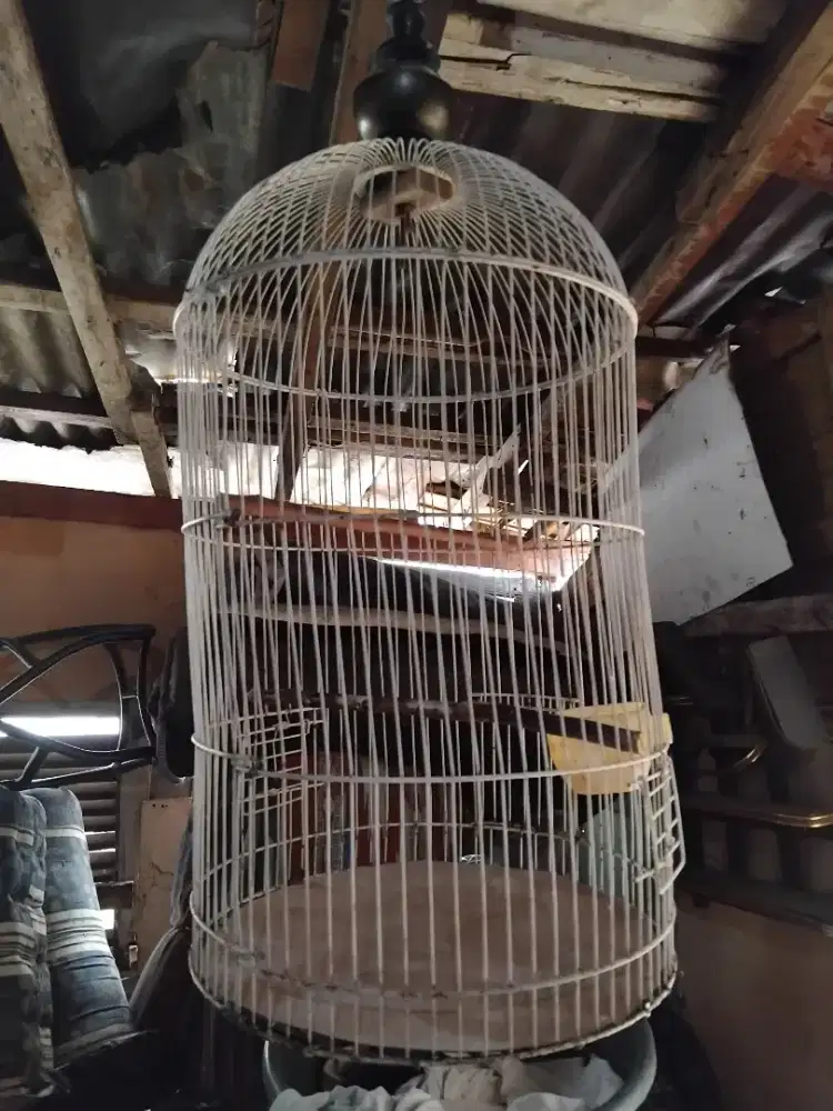 dijual.kandang burung