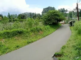 Dijual Lahan Kebun Sayur 2700m2 SHM di Cigombong Bogor