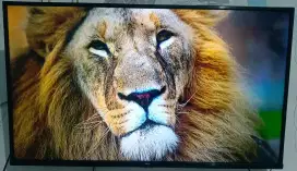 ANDROID TV TCL 43 INCH