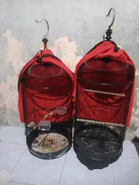 Jual borongan 2 buah kandang lovebert fs