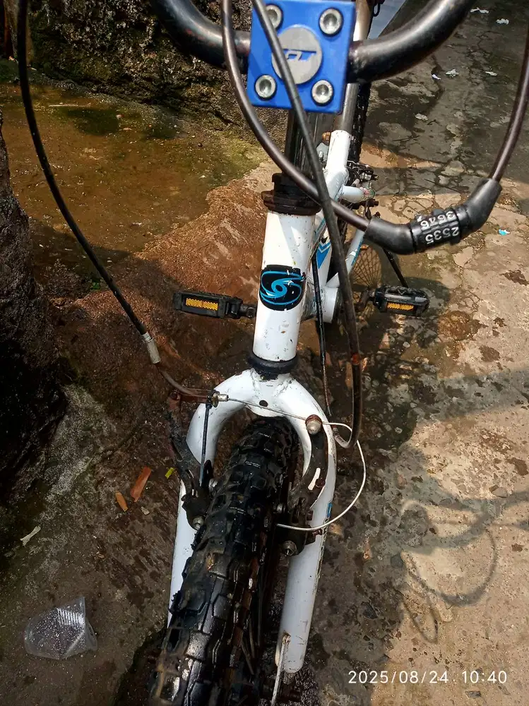 BMX senator fight ukuran 20