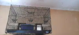 Mahar edisi Bu aj Gan