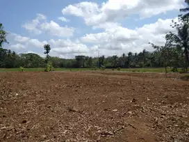 Pekarangan DUA MUKA: View Sawah, Lingkungan Nyaman