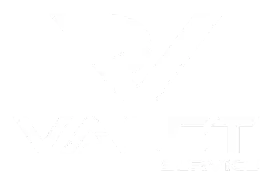 Lowongan valet parking service