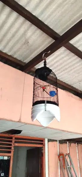 Sangkar burung helopet D24
