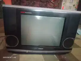 Tv Sharp 21 inch