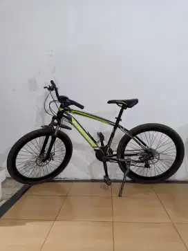 Sepeda Gunung MTB INTER BIKE ukuran 26