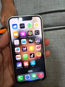 Ip 13mini 126gb inter mulus nominus