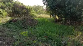 Dijual tanah pecilon . Jl.sitameng