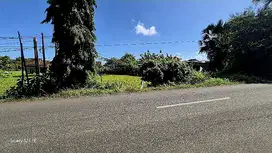 TANAH 1000M2 PINGGIR JALAN UTAMA DI PENGAMBENGAN