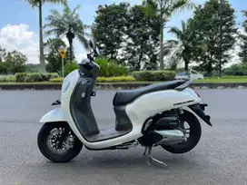 Scoopy Prestige 2024