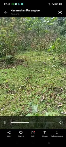 Dijual tanah kebun kurang lebih 2 ha harga pas seratus limabelas juta