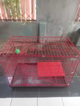 Kandang Kucing Besar