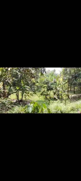 Di jual lhan tanah darat ples rumah ltv1500 mtr ss ajb akses mobil