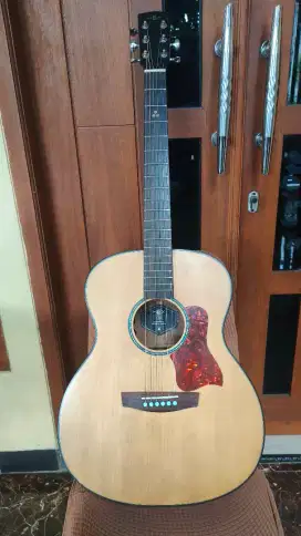 JUAL GITAR AKUSTIK ELEKTRIK HEX F300 TOP SOLID