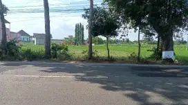 Tanah 45 Ru Strategis Dekat Kantor Kabupaten Blitar – Harga Nego