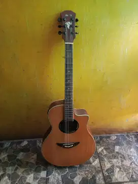 gitar akustik elektrik apx500 normal