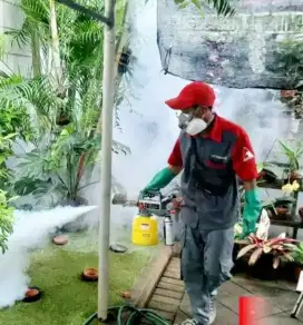 Jasa Fogging Nyamuk DB dan Serangga