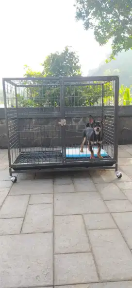 Kandang anjing / Kucing ukuran 90x60x70