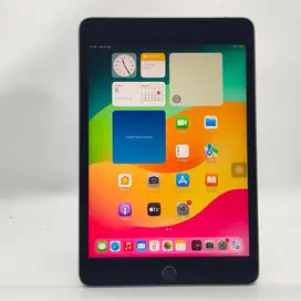 Ipad mini 5 256gb wifi cellular
