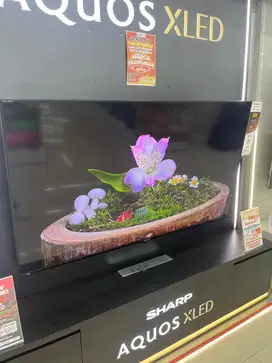 Sharp 8TC70DW1X 70inch 8k