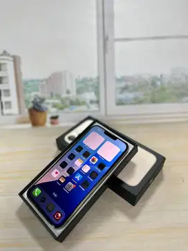 iPhone 13 Promax 256gb Internasional