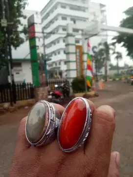 Pandan lumut dan nasmer