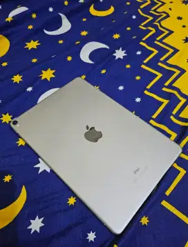 Ipad Pro 10.5 inch 2017 64GB Grey