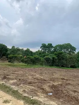 Tanah Investasi Belakang UIN Jambi