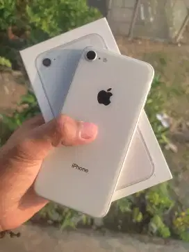 iPhone 8 internal 64GB