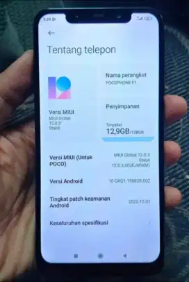 Poco  F1  6/128
