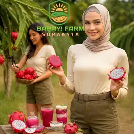 Buah Naga Merah Putih 500 gr / 1 kg