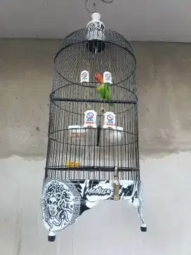 LOVEBIRD JOSSAN RAJIN FULLSET SANGKAR PVC DECAL