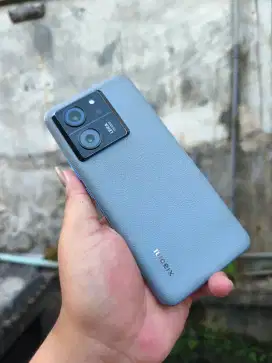 Xiaomi Mi 13T 12/256