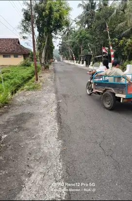 Sawah minggir sleman