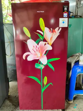Kulkas Polytron 1pintu istimewa like new