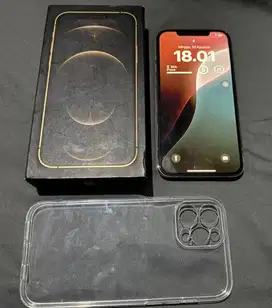 Iphone 12 promax 128gb gold wifi only 5G fullset inter LL/A MURAH