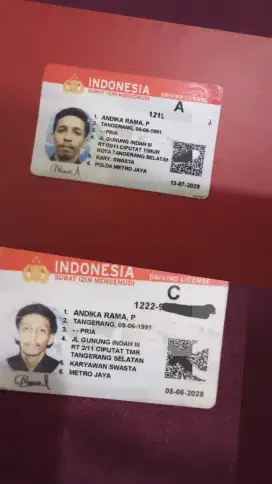 Supir pribadi atau antar jemput