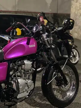 Scorpio custom british