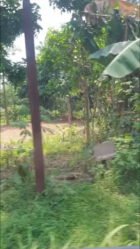 DIJUAL CEPAT Tanah dengan Harga Murah